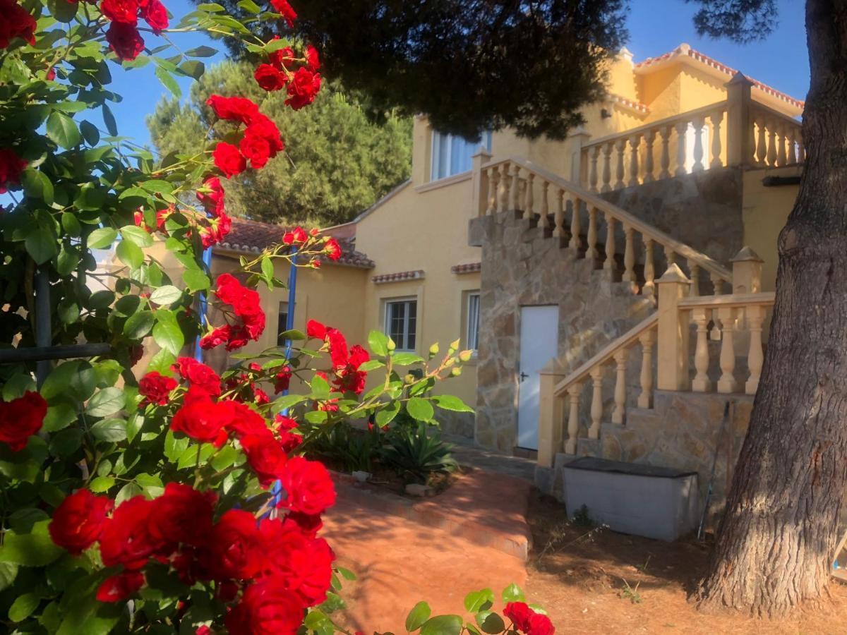 Villa Eliza Dénia Esterno foto
